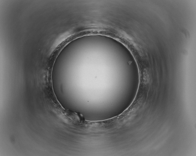 X0000112871352200908281616