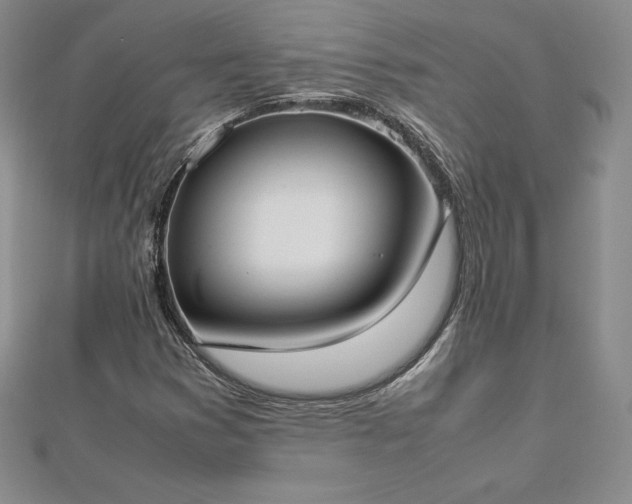 X0000112871353200908281616