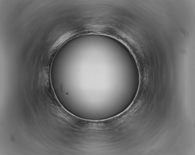 X0000112871354200908281616