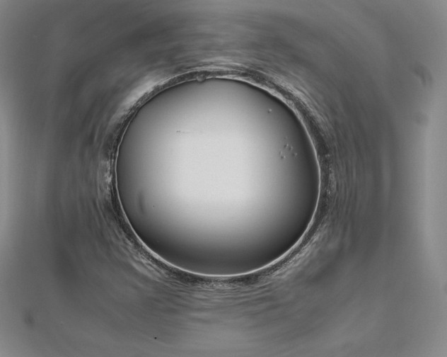 X0000112871355200908281616