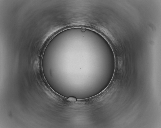 X0000112871356200908281616