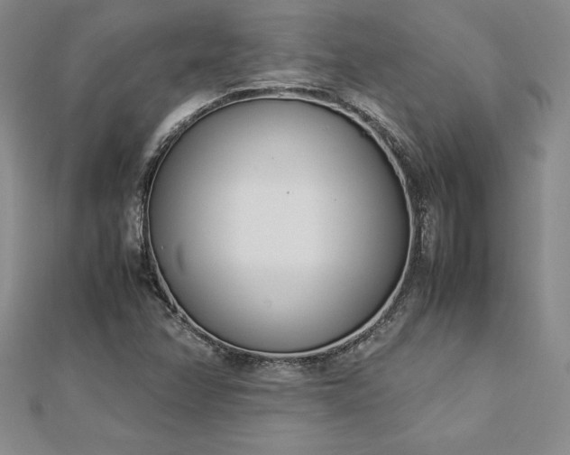 X0000112871358200908281616