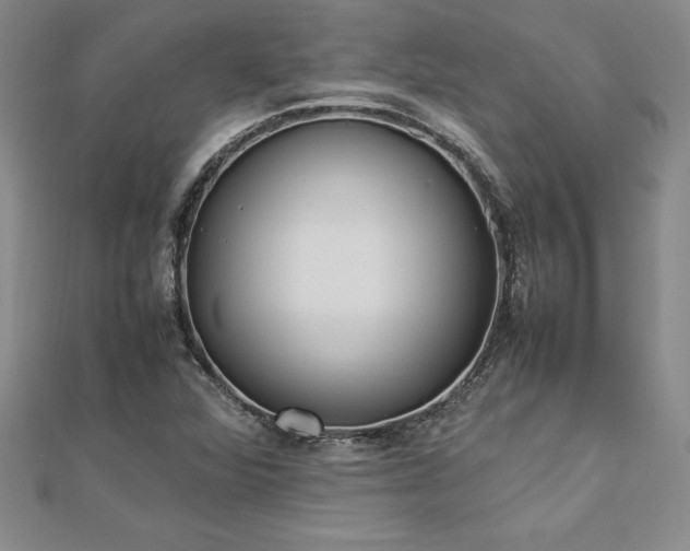 X0000112871360200908281616