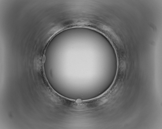 X0000112871361200908281616