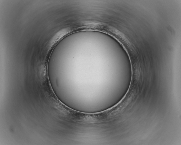 X0000112871362200908281616