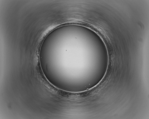 X0000112871363200908281616