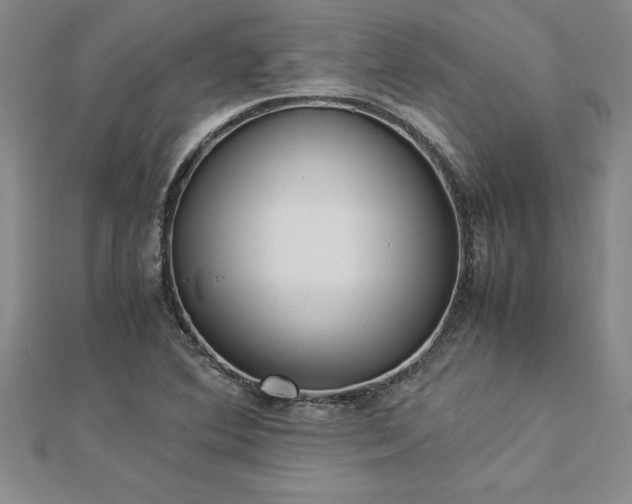 X0000112871364200908281616