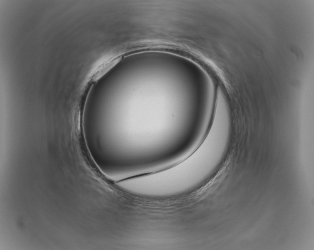 X0000112871365200908281616