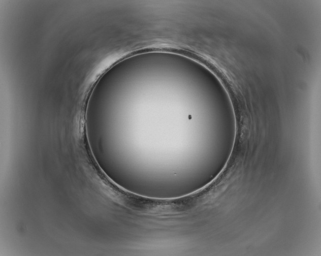 X0000112871367200908281616