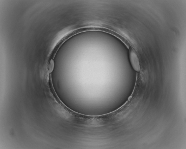 X0000112871368200908281616