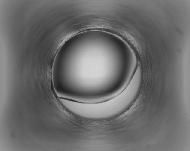 X0000112871369200908281616