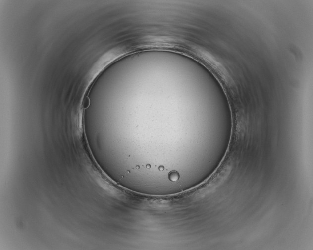 X0000112871370200908281616