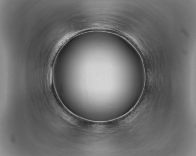 X0000112871371200908281616