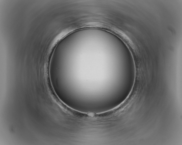 X0000112871373200908281616