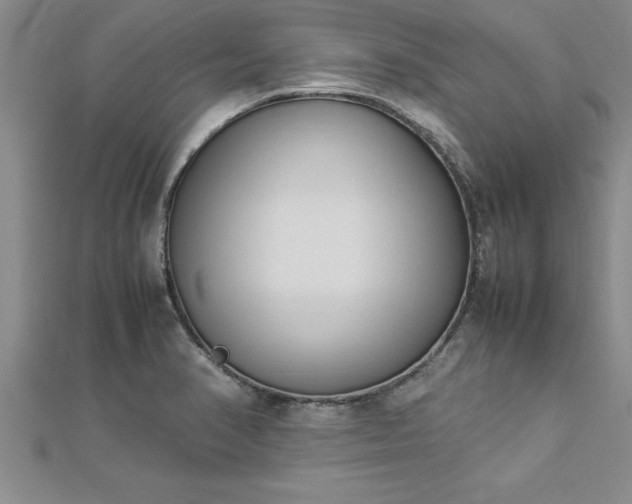 X0000112871374200908281616