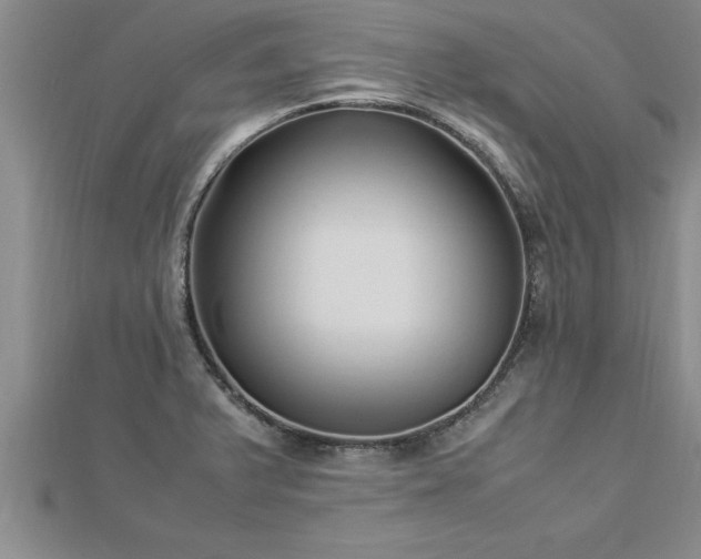 X0000112871375200908281616