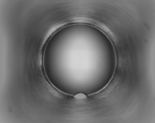 X0000112871376200908281616