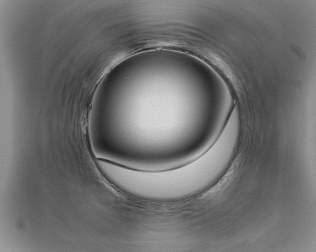 X0000112871377200908281616