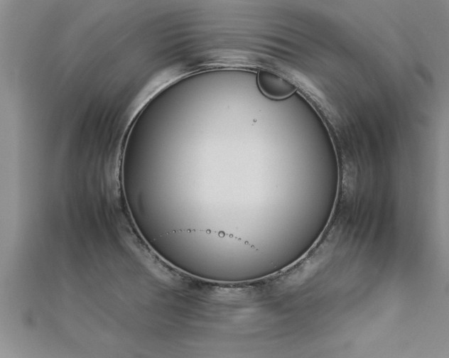 X0000112871378200908281616