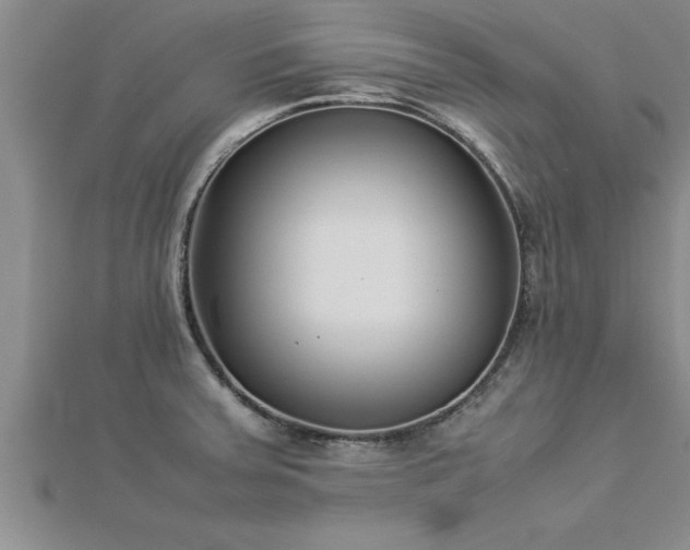 X0000112871379200908281616