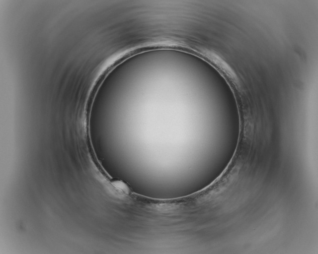 X0000112871380200908281616