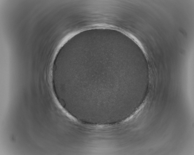 X0000112871381200908281616