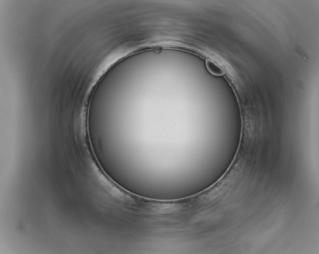 X0000112871382200908281616