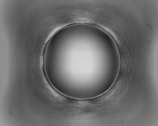 X0000112871383200908281616