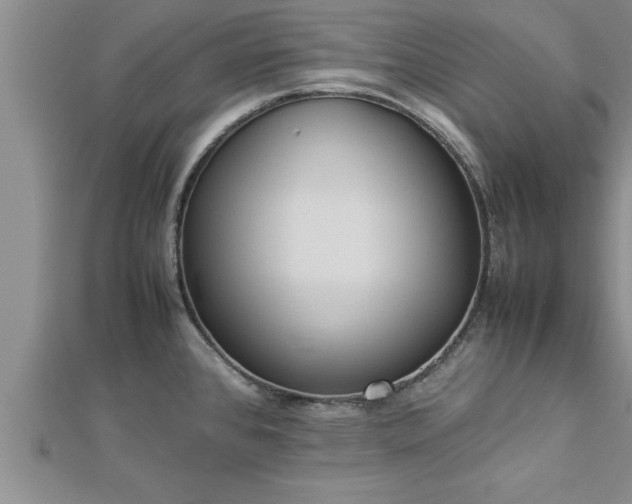 X0000112871384200908281616