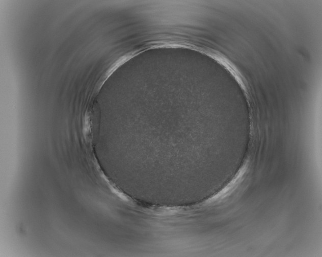 X0000112871385200908281616