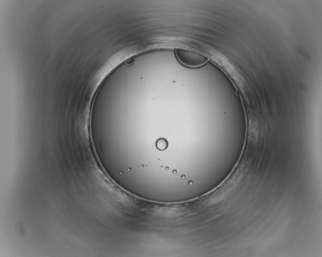 X0000112871386200908281616