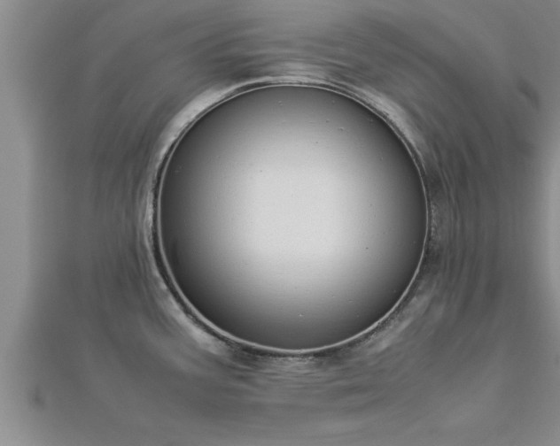 X0000112871387200908281616