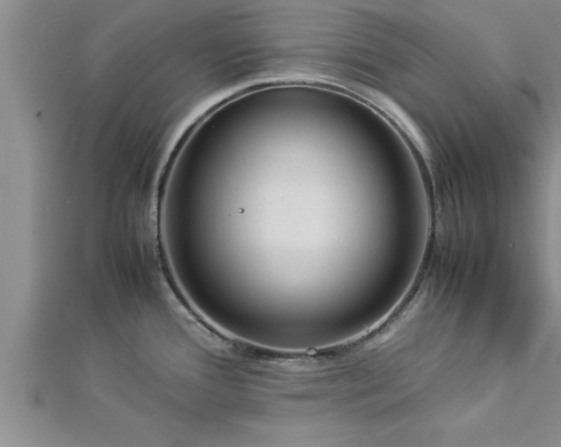 X0000112871388200908281616