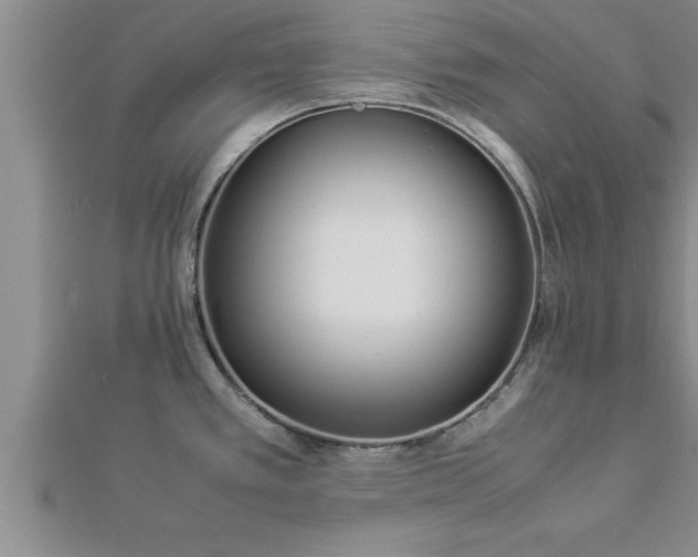 X0000112871389200908281616