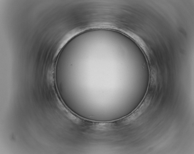 X0000112871390200908281616