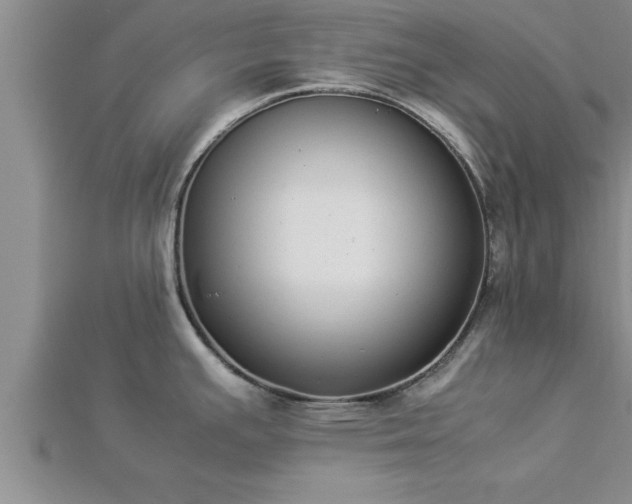 X0000112871391200908281616