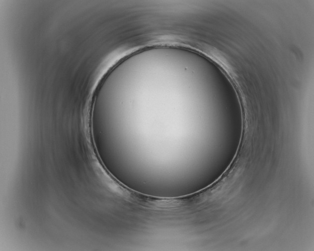 X0000112871392200908281616