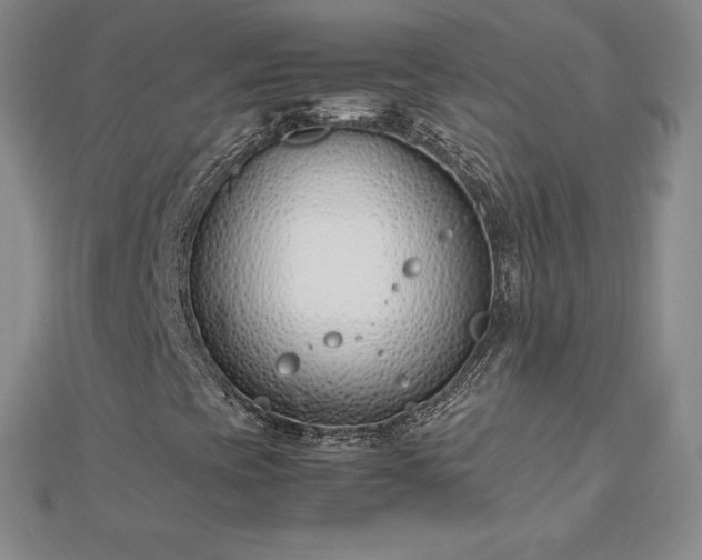 X0000112871393200908281615