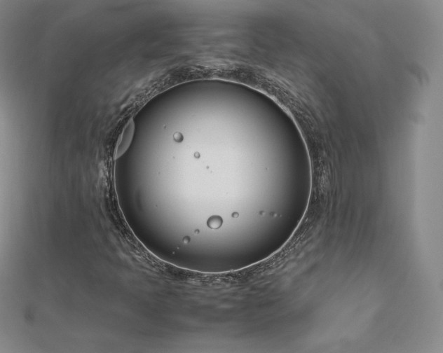 X0000112871397200908281615