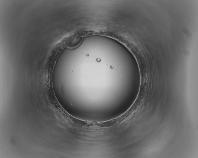 X0000112871398200908281615