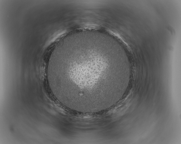 X0000112871399200908281615