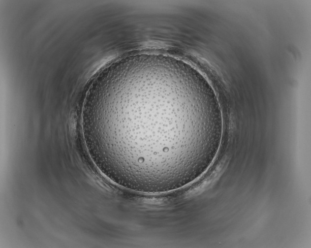 X0000112871401200908281615