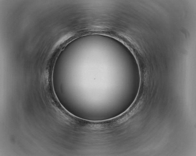 X0000112871402200908281615