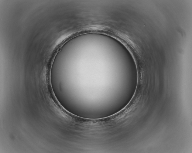 X0000112871404200908281615