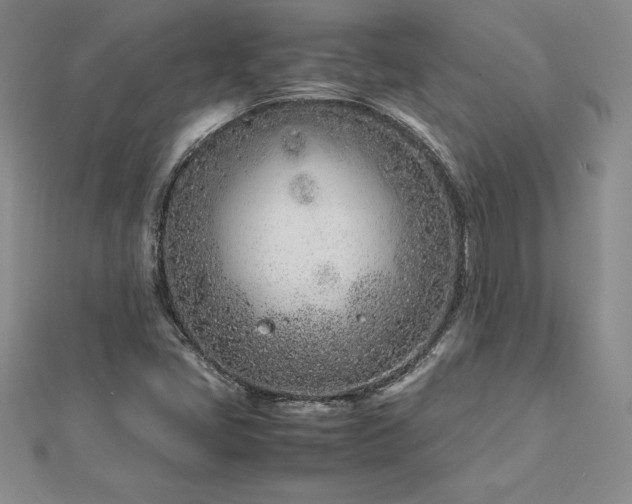 X0000112871405200908281615