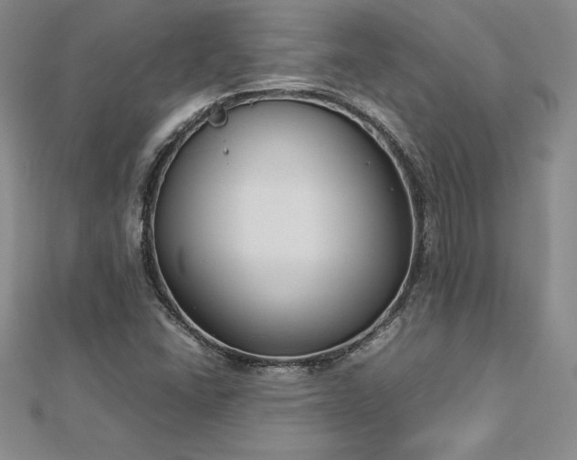 X0000112871406200908281615