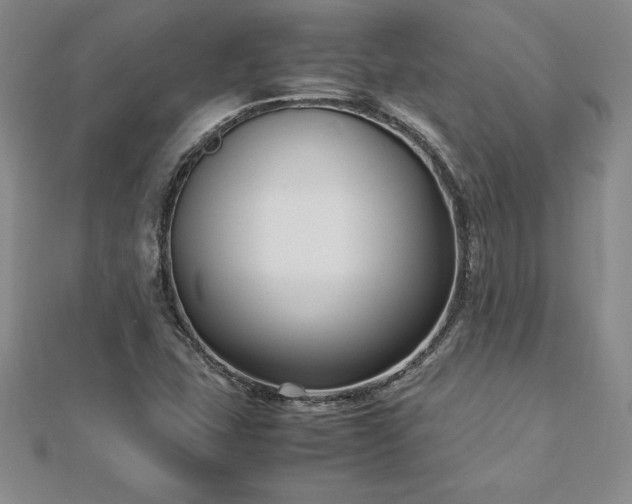 X0000112871407200908281615