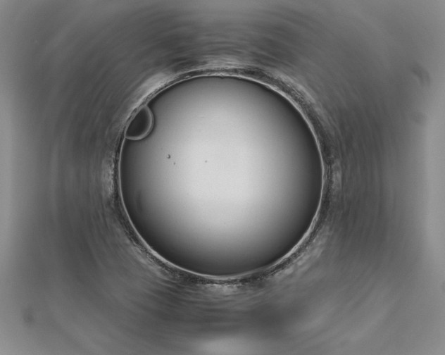 X0000112871409200908281615