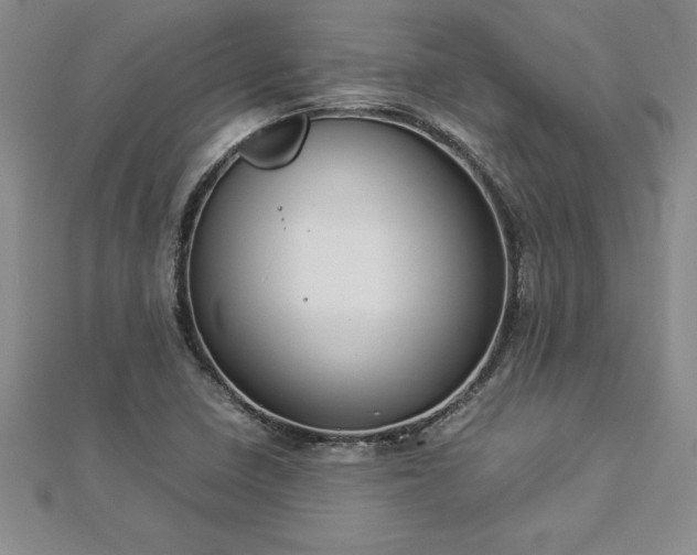 X0000112871410200908281615