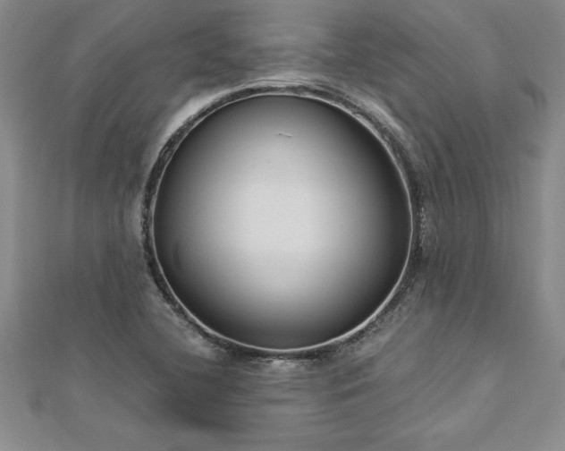 X0000112871412200908281615